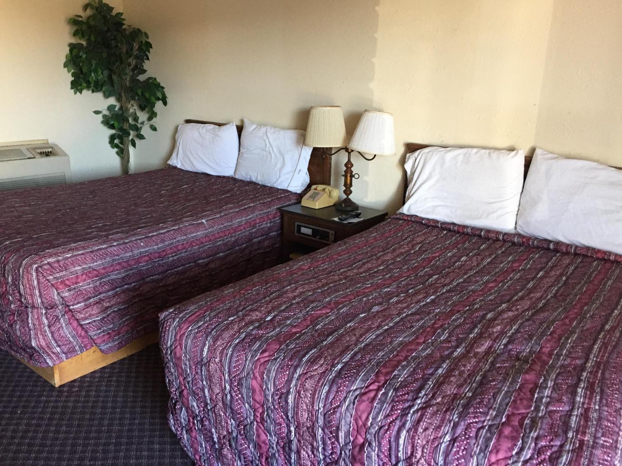 Rustic Motel Rolla Room photo
